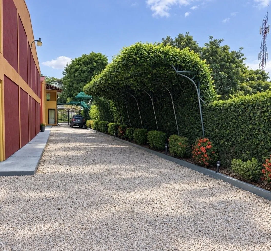 Gravel drive lined with hedges