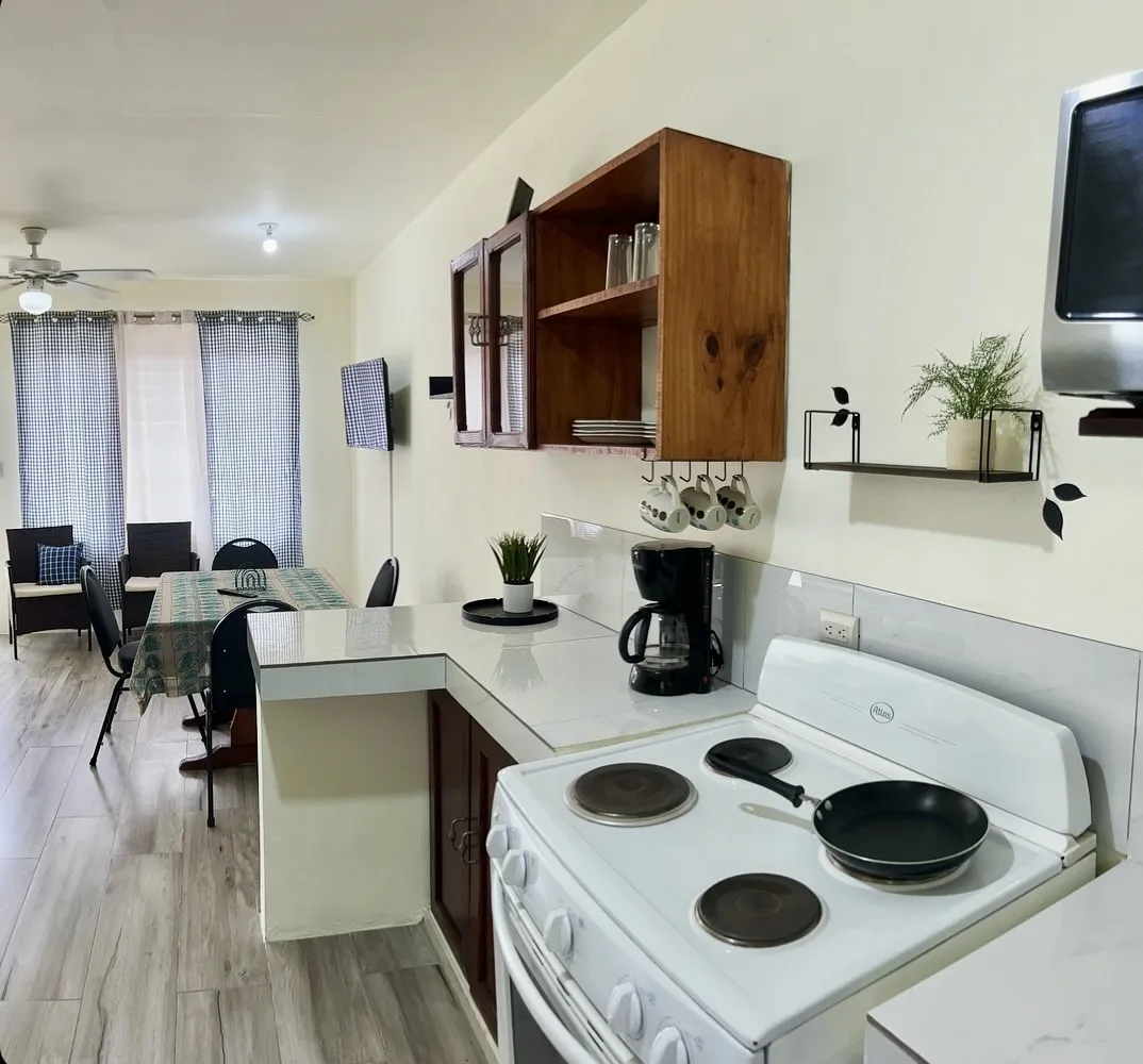 Kitchen counter and wooden cabinets