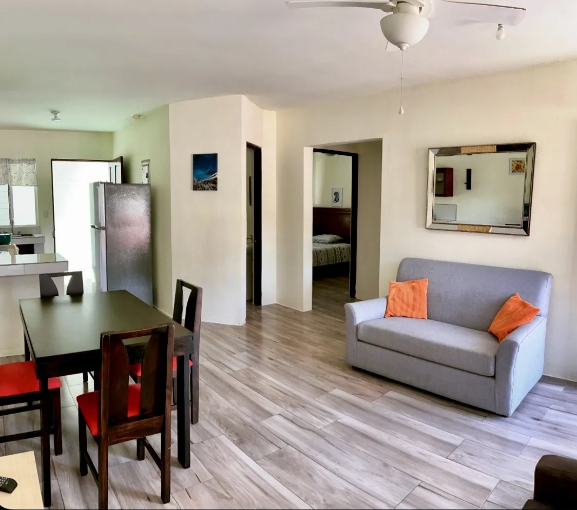 Living room with sofa, opening onto the dining area