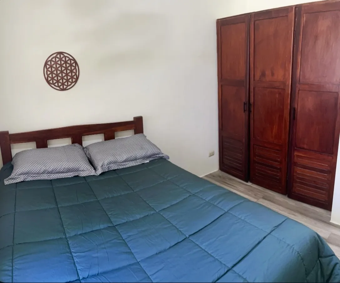 Main bedroom with built-in wooden closet